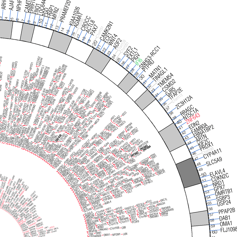 Example of a Circos text track