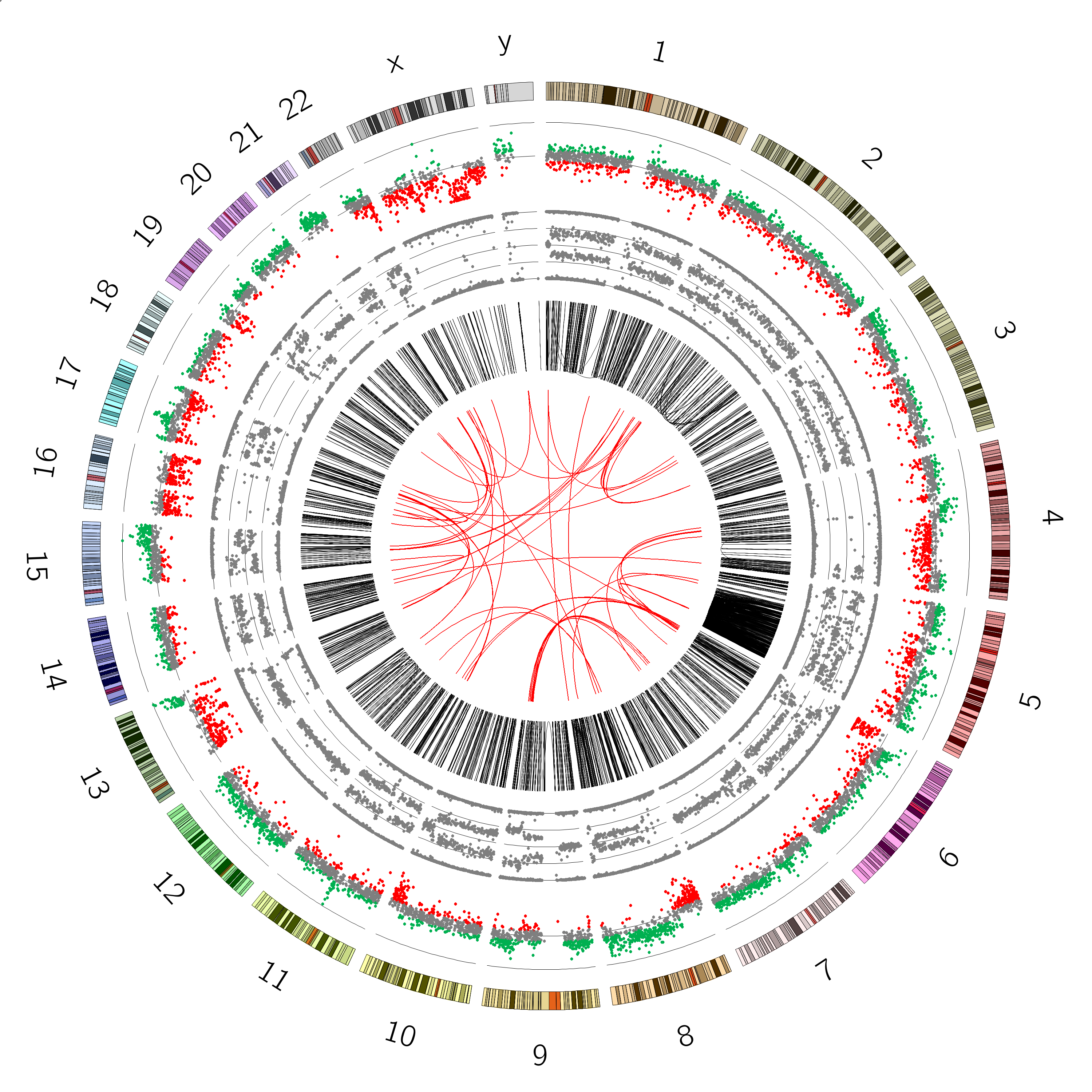 VCaP cancer Circos plot. 