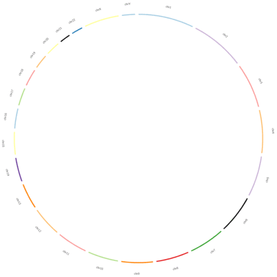 Gif of a circos plots through the development process. 