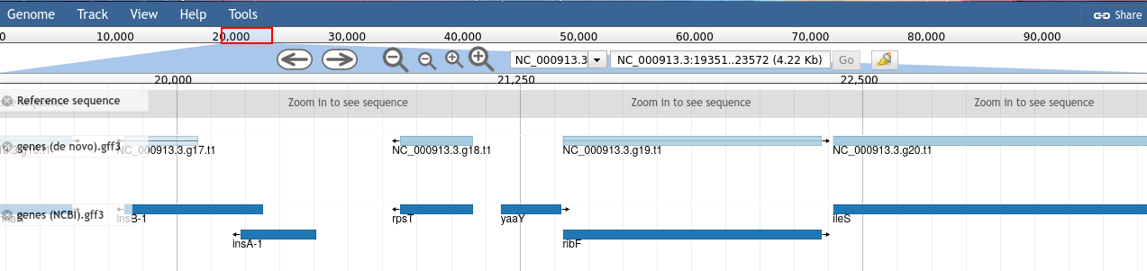 genes in JBrowse. 